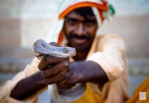 "Human condition gallery"